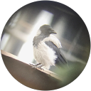 Вова Кучер profile picture